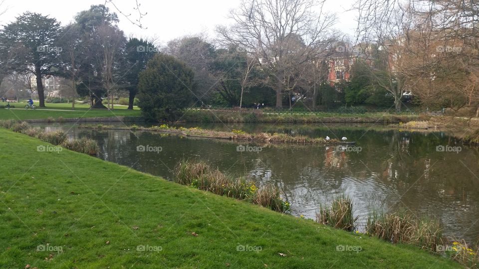 Landscape, Tree, Water, No Person, Grass