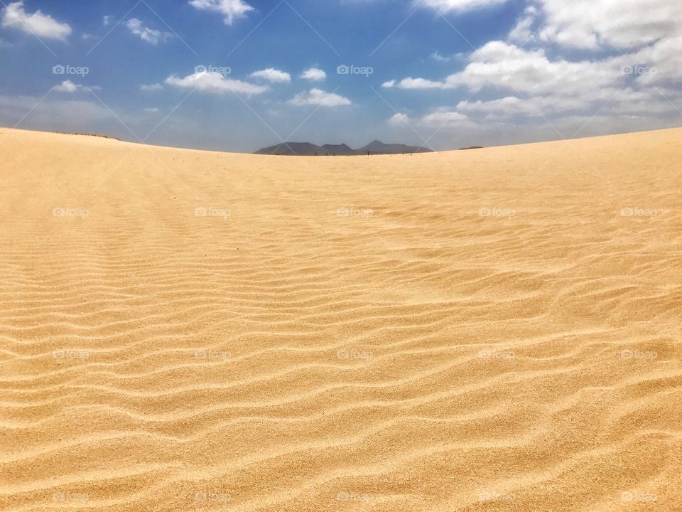 The sand dunes