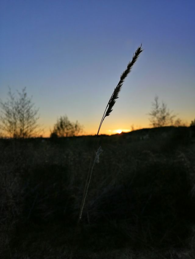 lonely sunset