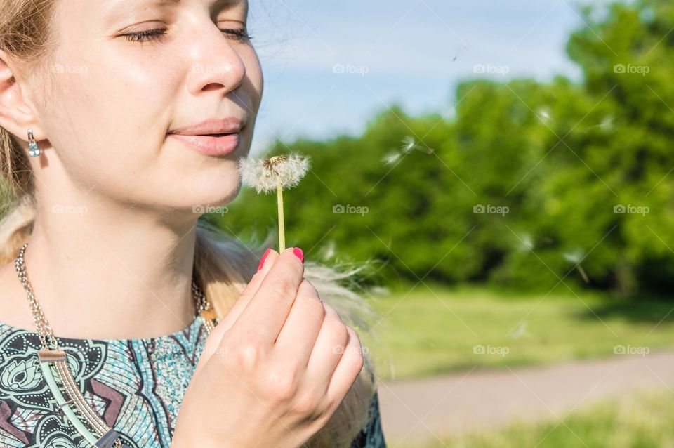 Dandelion 