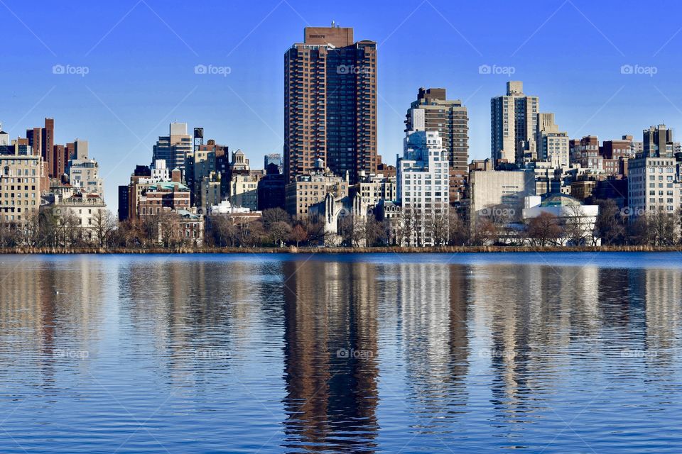 Incredible Reflections