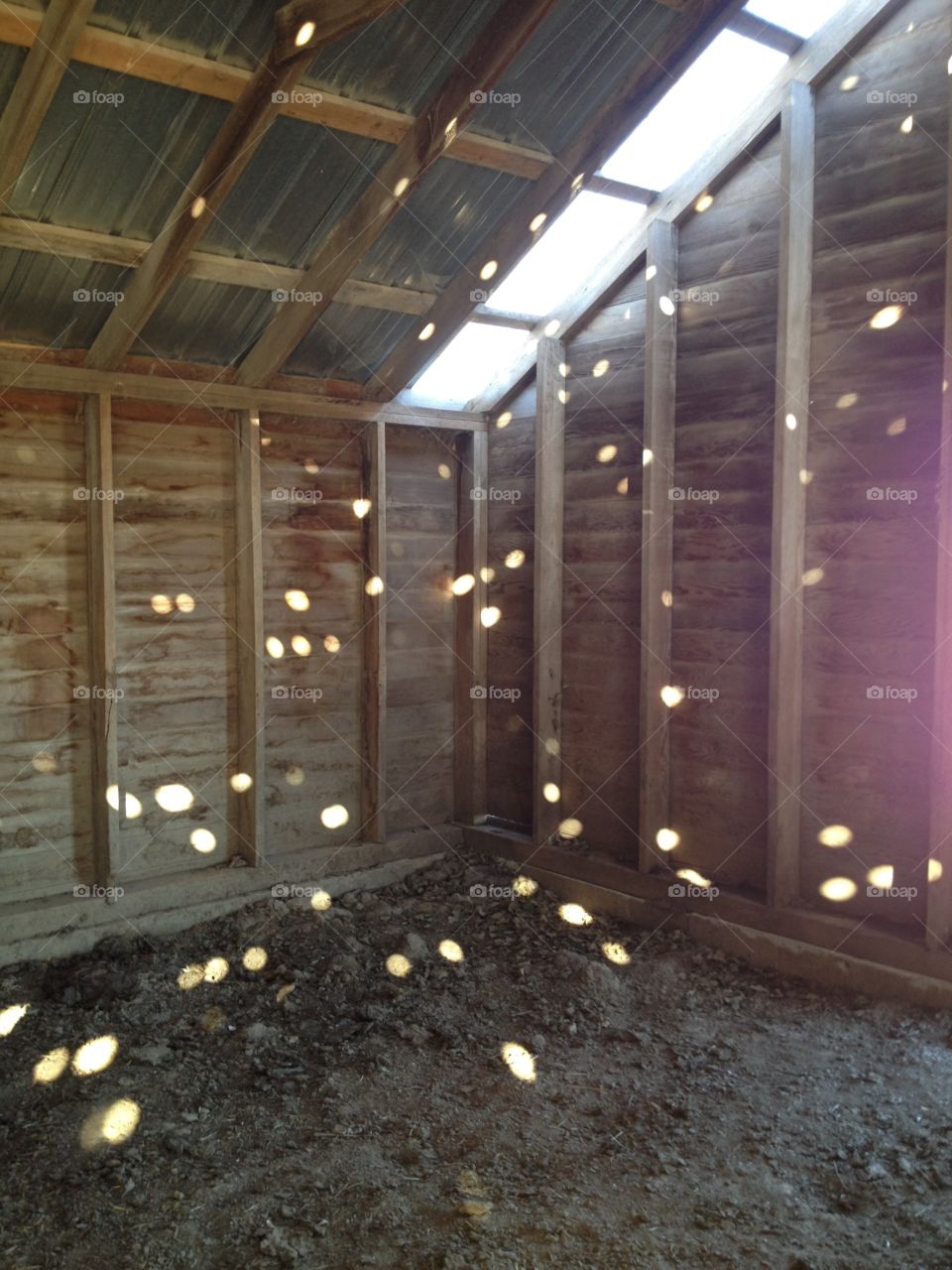 Sun-speckled Shed