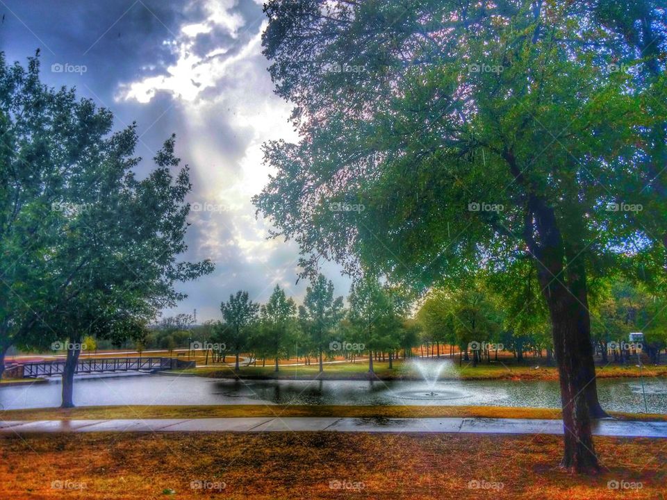 storm at the park