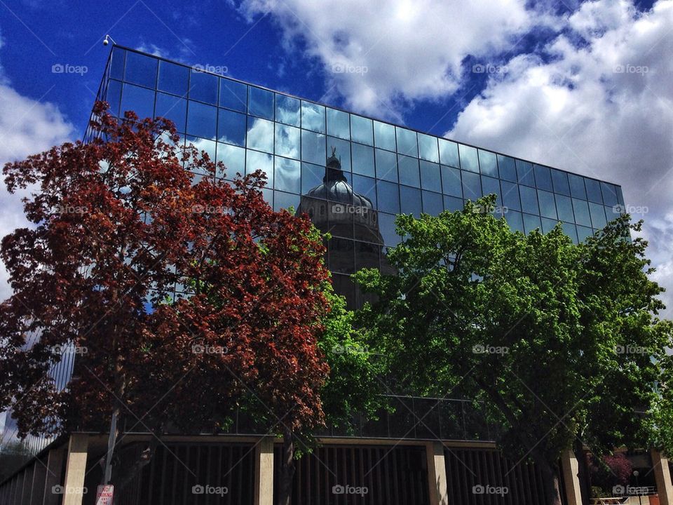 A Capital Reflection