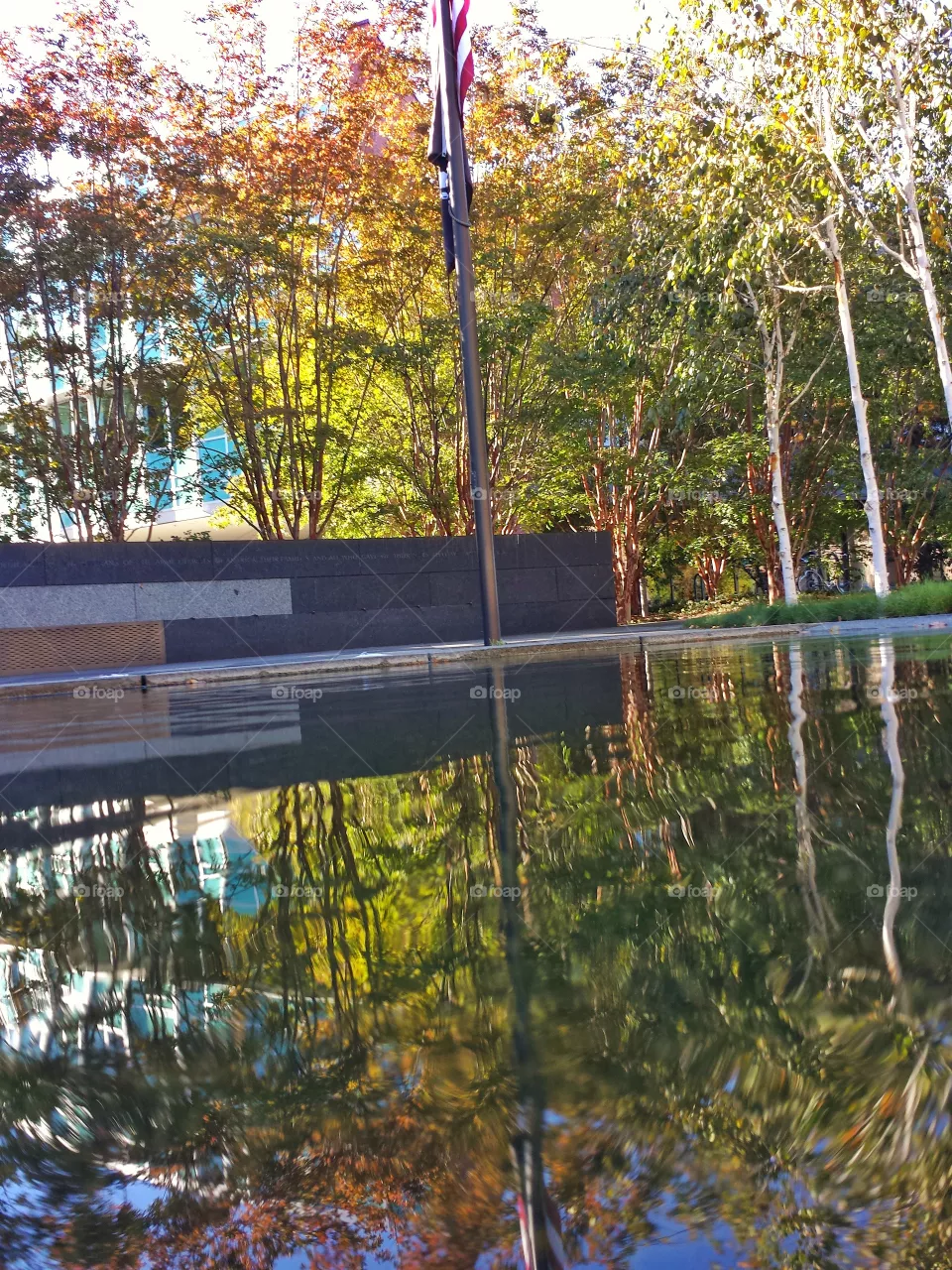 Reflection