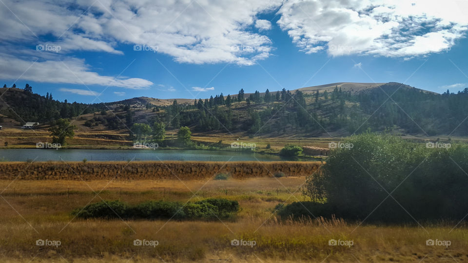 Montana Landscape