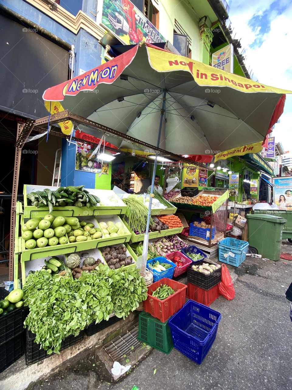 Selling vegetables in little india singapore