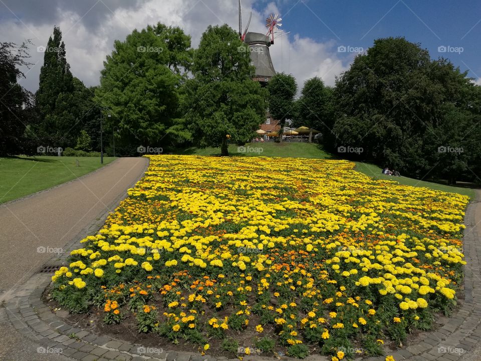 View of a flower park