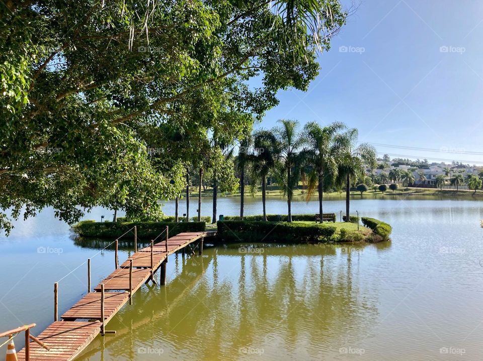 For the different paths I walk, and when the road ends, I build bridges so I don't stop! / Para os diversos caminhos vou andando, e quando a estrada acaba, construo pontes para não parar!