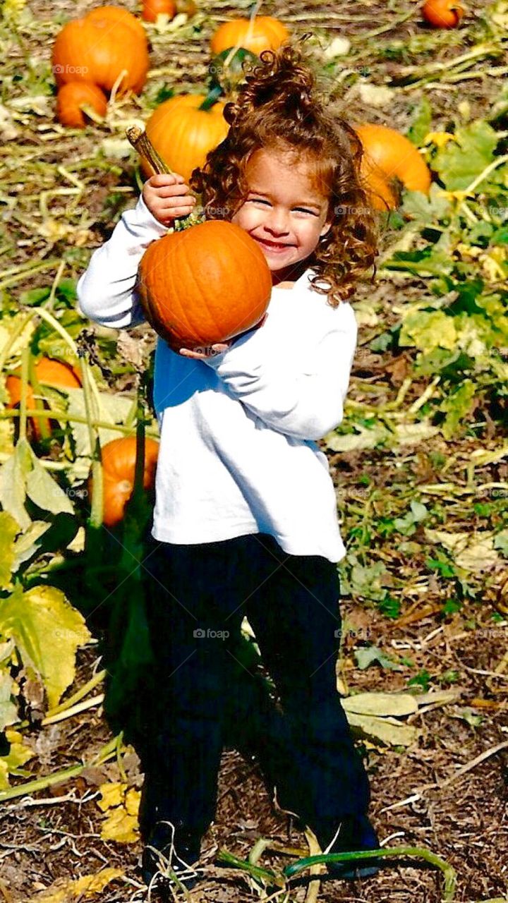 It’s a Pumpkin Season