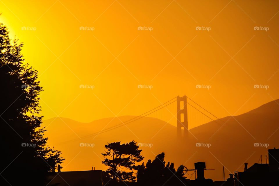 Beautiful Sunset over the Golden Gate Bridge in San Francisco California viewed from a rooftop , with the Marin hills in the background and a silhouette of the buildings and trees in the foreground 