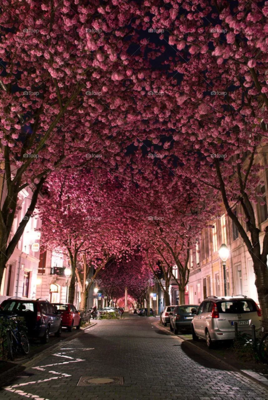 Amazing road