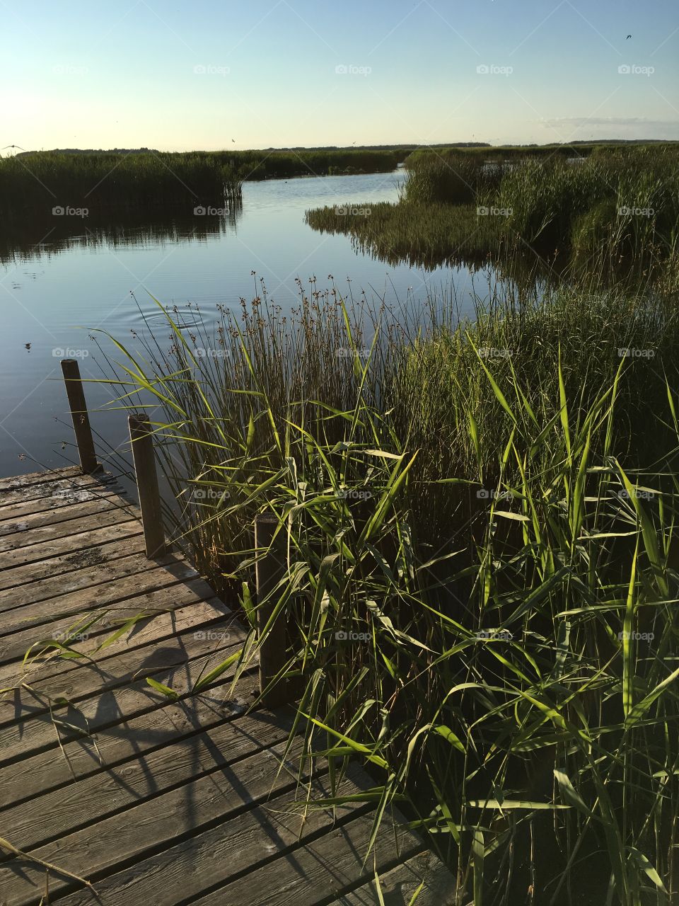 Tåkern naturum, Natural Park, Sweden