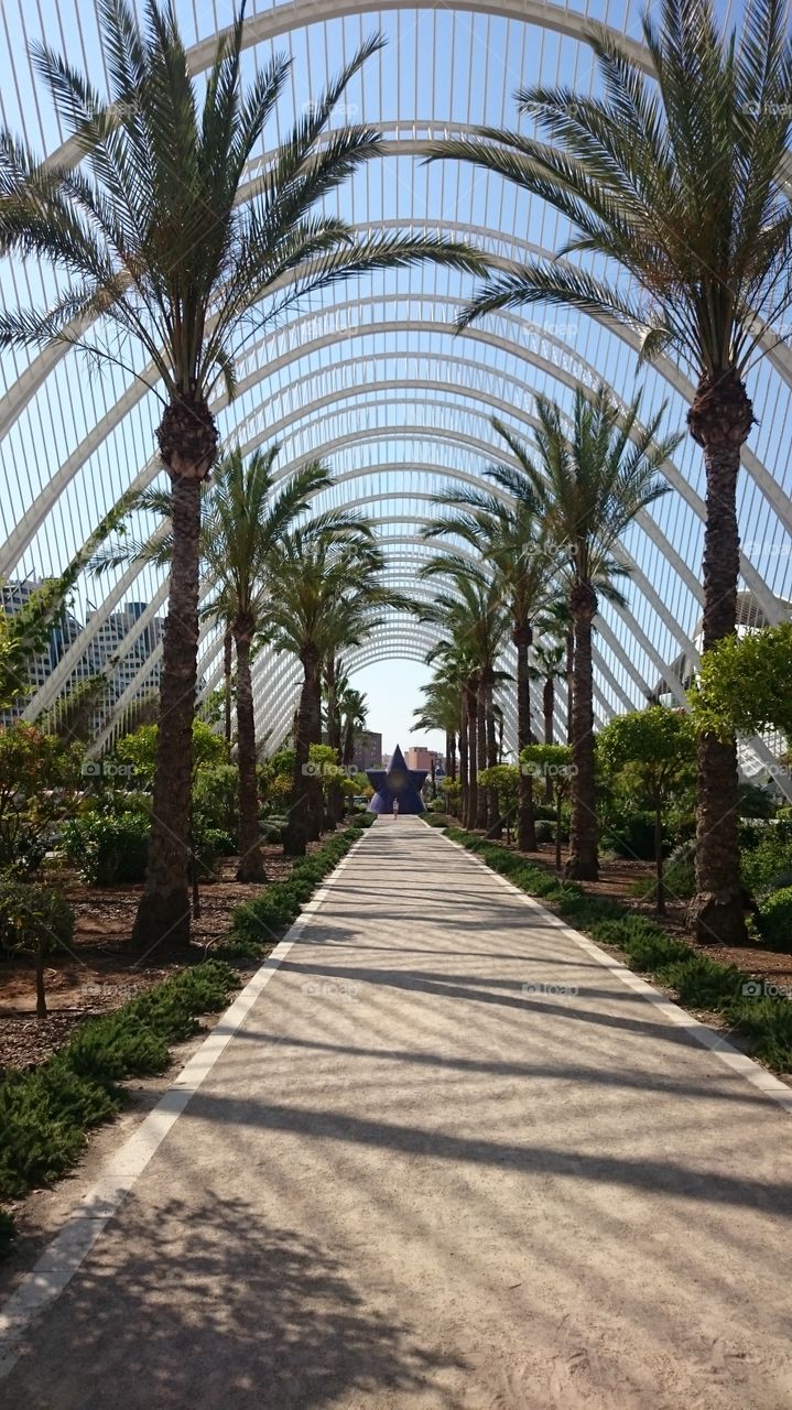 L'umbracle Valencia