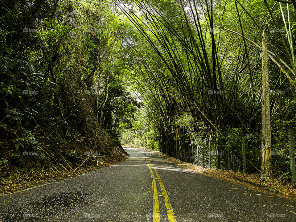 Estrada na Serra - Guaramiranga-Ce-Brazil