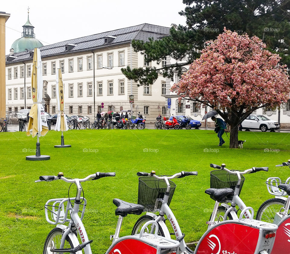 Bike, Wheel, Outdoors, No Person, City