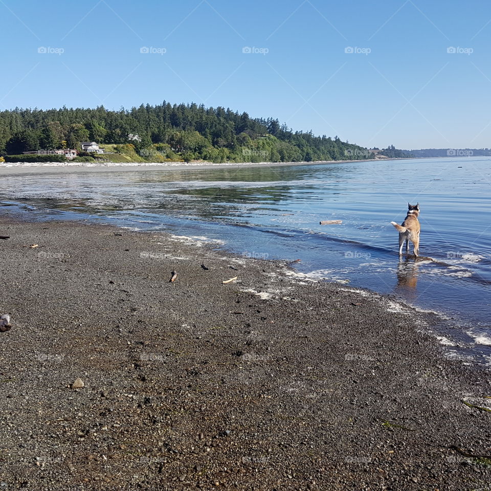 beach at summertime