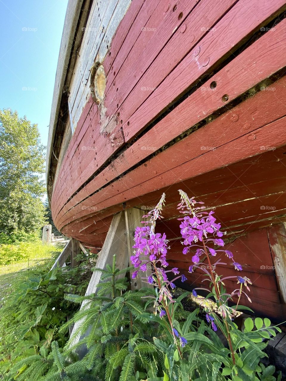 Old wooden boat out of the water.