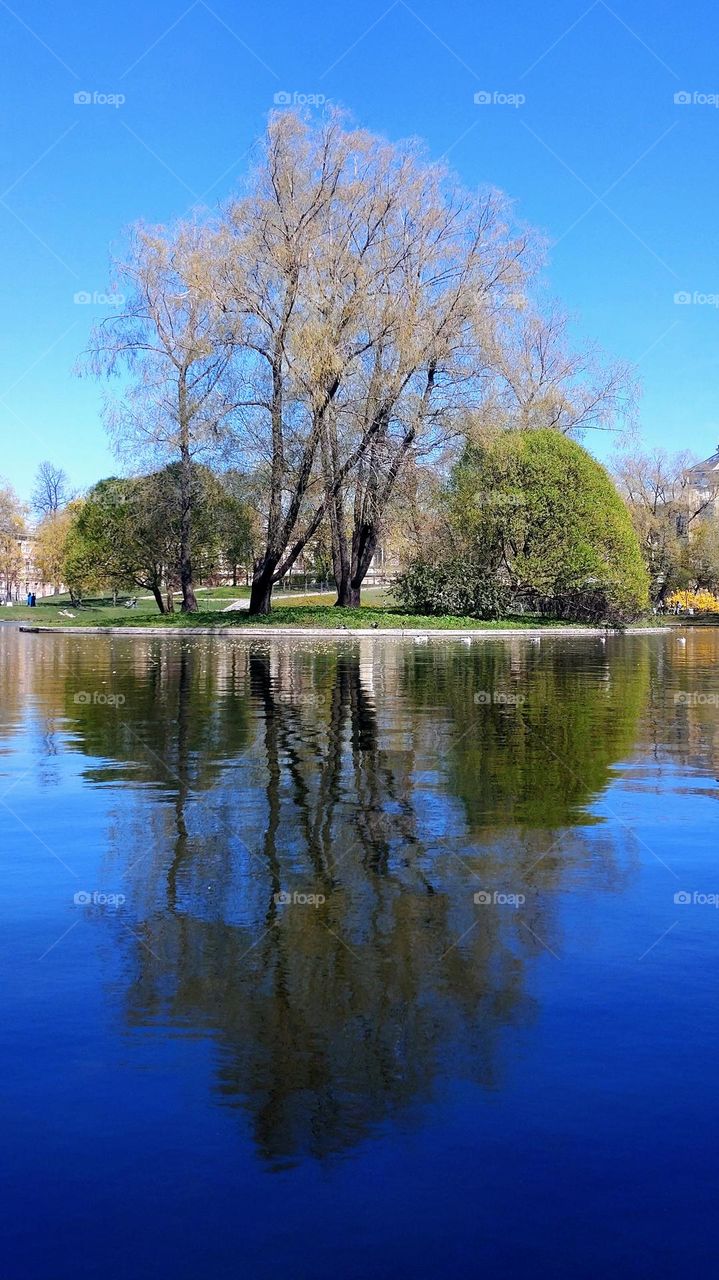 Trees in the park 💚🩵 Urban water 🩵💚 Spring time 💚🩵