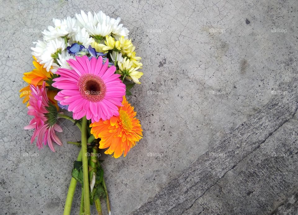 Flowers on the floor. The colors of the flowers pops out from black and gray cement background. the floor have some textures and lines that added beauty to this picture. It could portray memories, sadness, happiness, beauty. and peace.