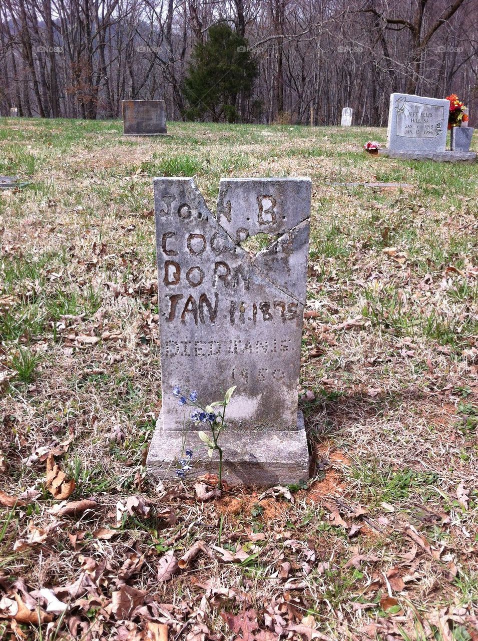 Old and forgotten headstone 