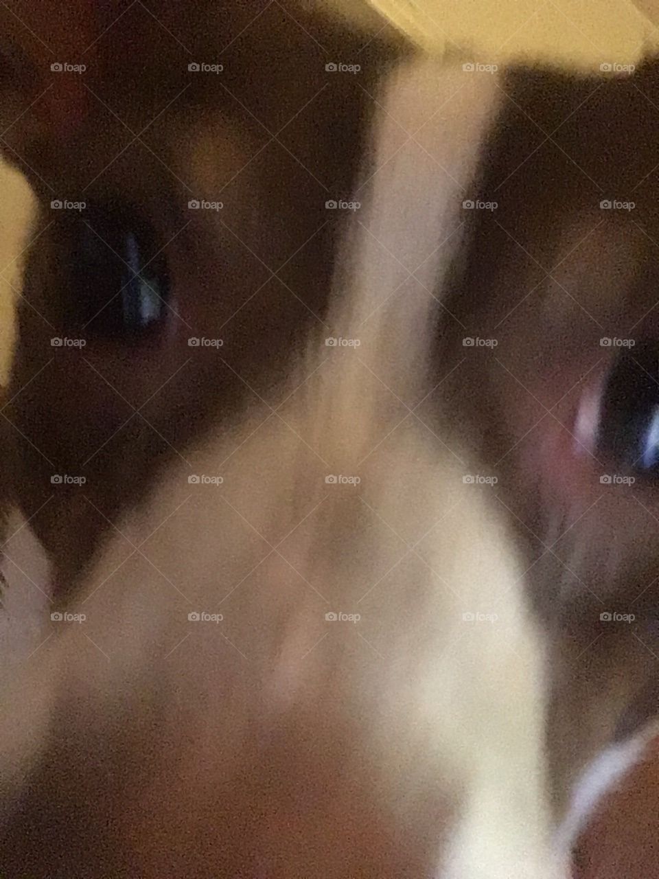 Hi how do you like my selfie? Let’s get up close and personal, here’s looking at you.