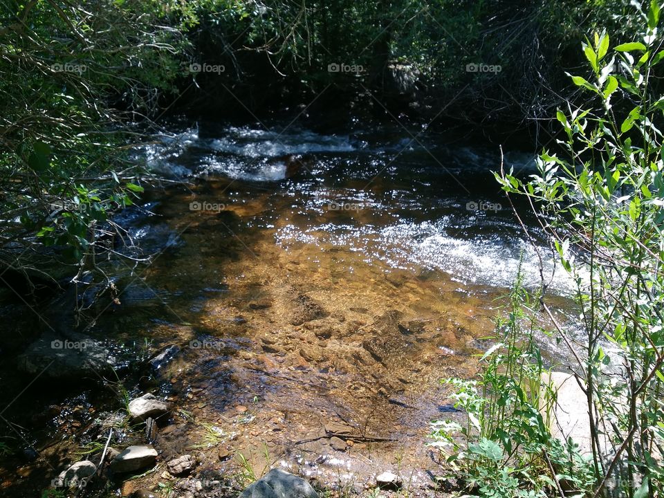Water, River, Nature, Stream, Wood