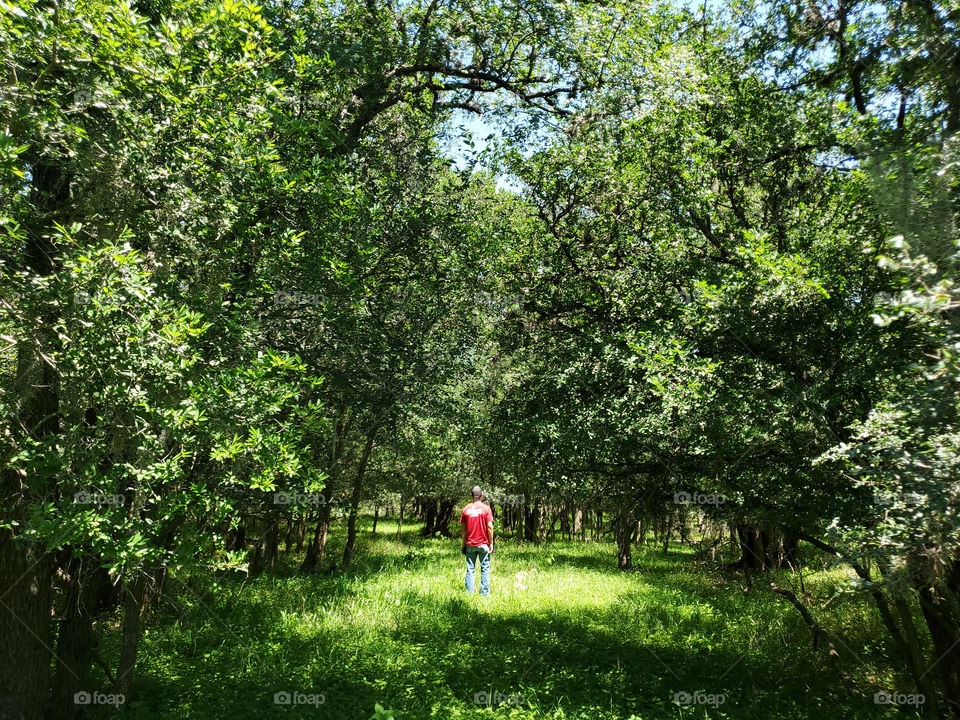 A man in a red shirt,jeans &cap, standing in the middle of a forest where sun light is peering through the forest canopy illuminating the man & surrounding grass.He is otherwise surrounded by shade provided by the luscious & bountiful forest trees.