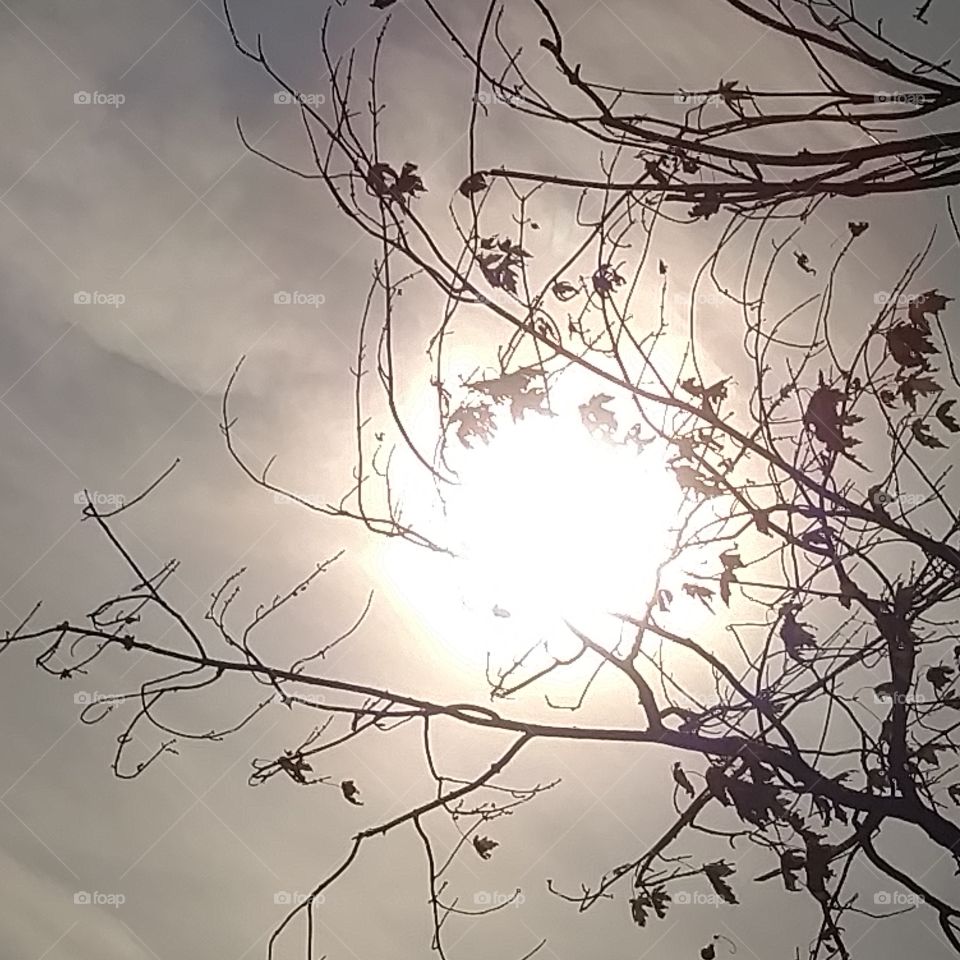 sun