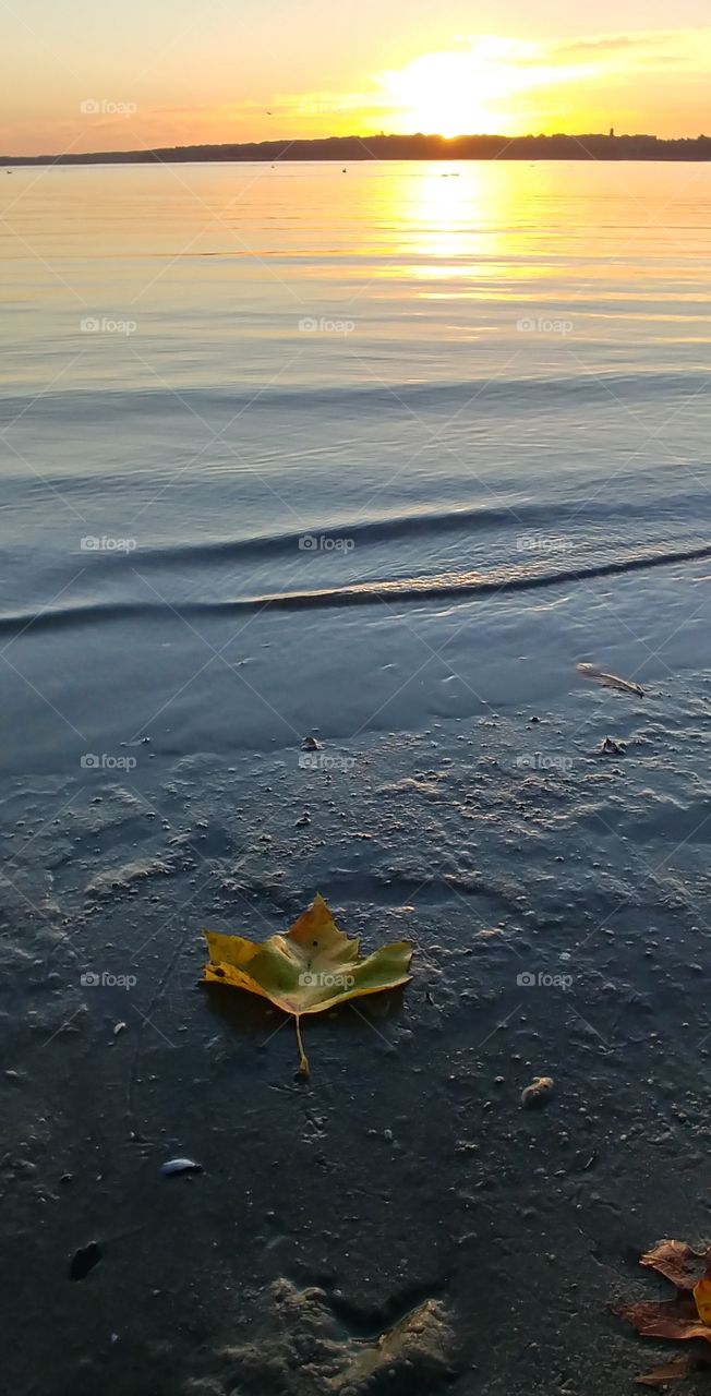 herbst autumn water wasser H2O see Sea