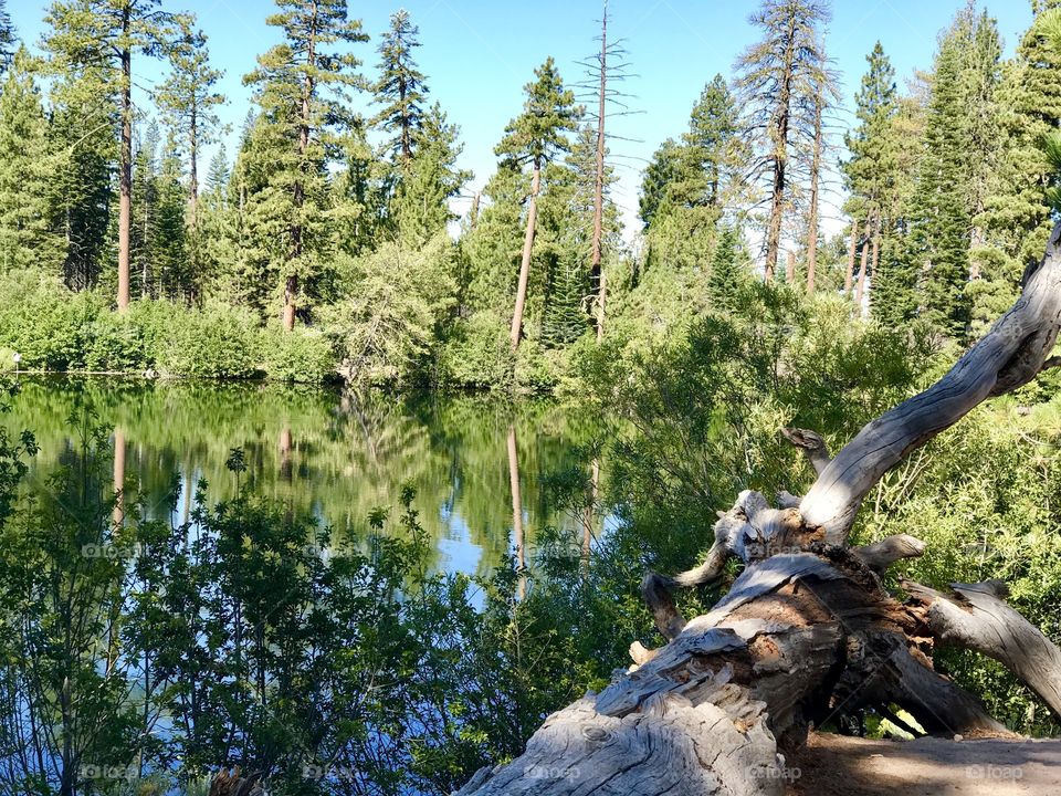 Lassen lake 
