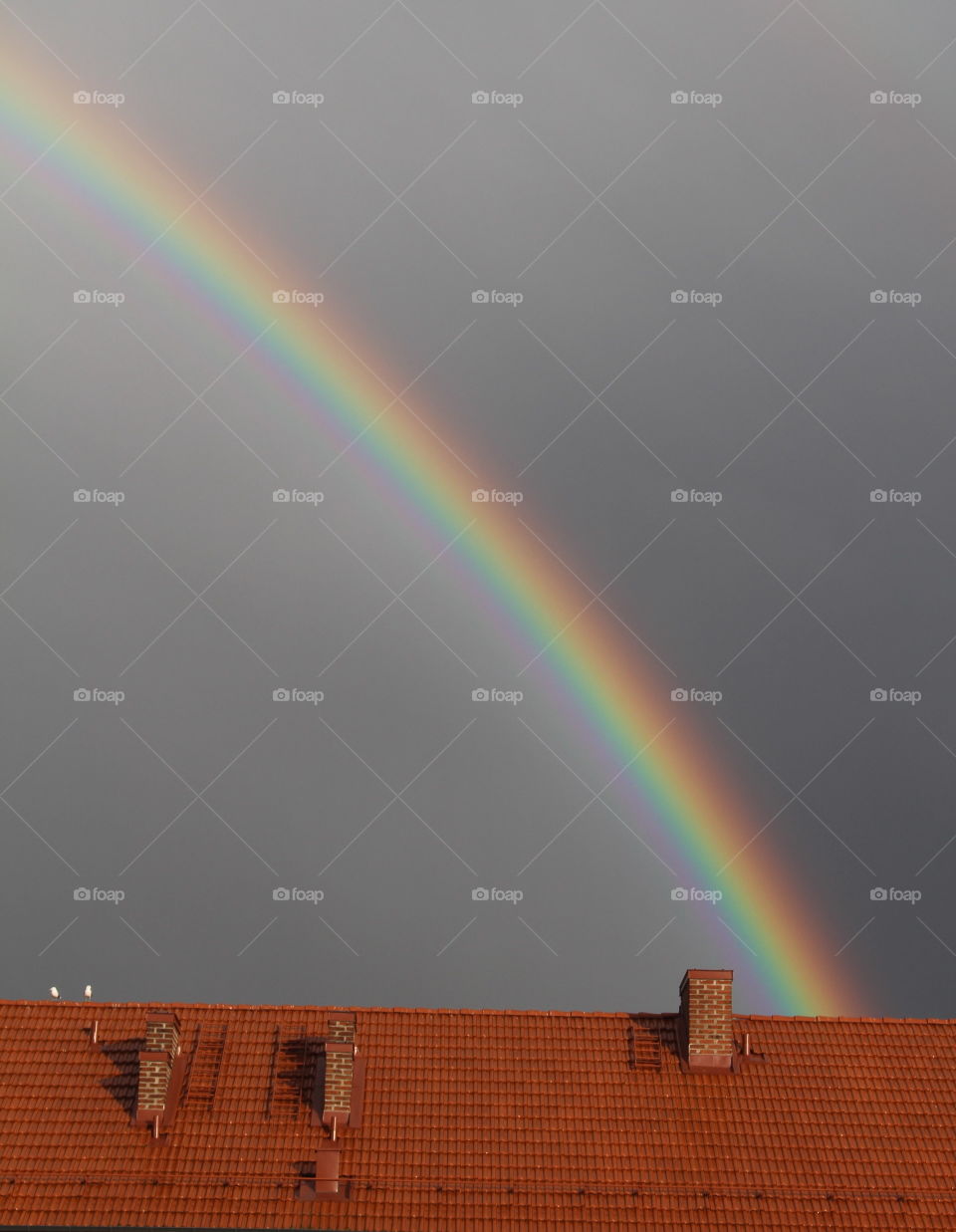 Rainbow by the rooftop.