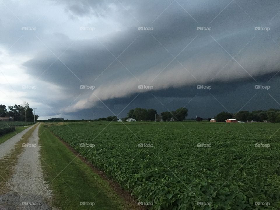 Stormy Evening. This photo was taken in Ohio back a long farmhouse lane. A strong line of storms was coming through.