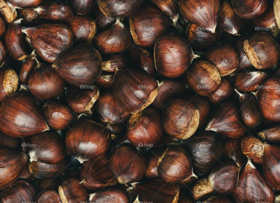 A haul of freshly washed chestnuts