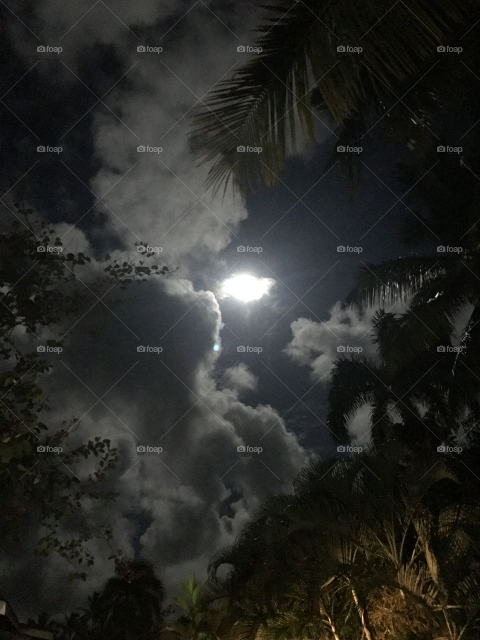Cloudy night with the moon
