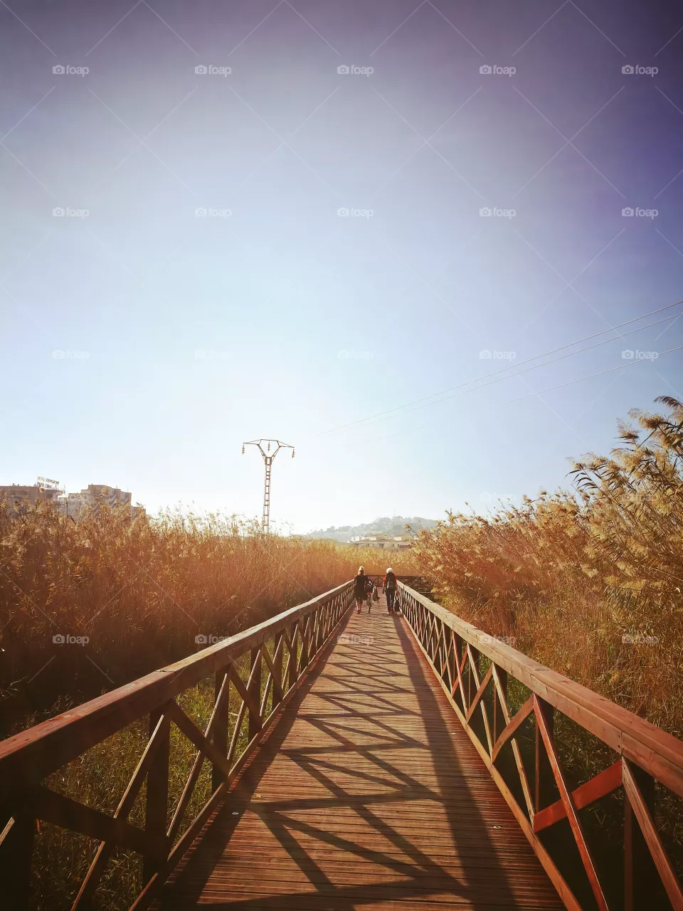 bridge