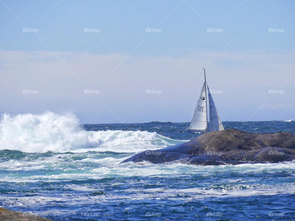 big waves on the ocean