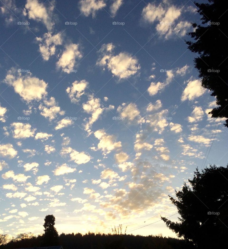 Sunset clouds 