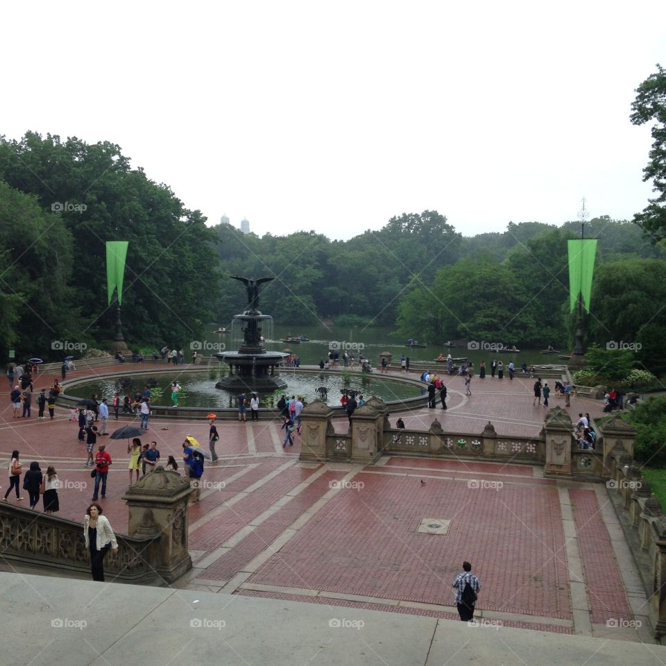 Central Park. Taken on a rainy day in July.
