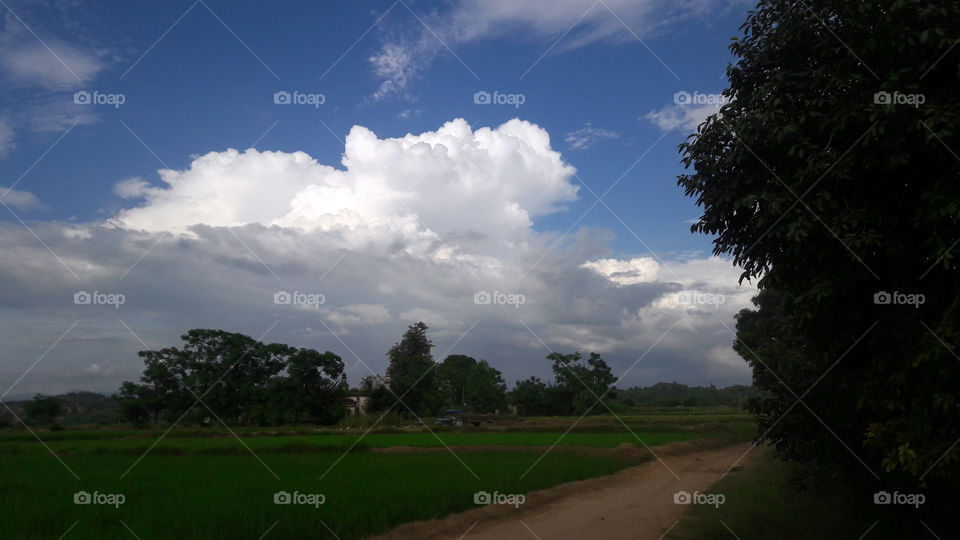 The muddy roads which lead to a joyful and peaceful life.