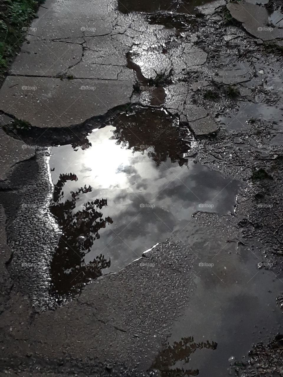 broken sidewalk after rain reflecting sky