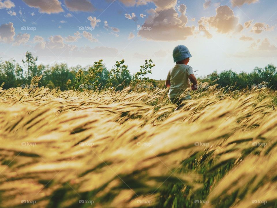 A child adventuring on a crop field