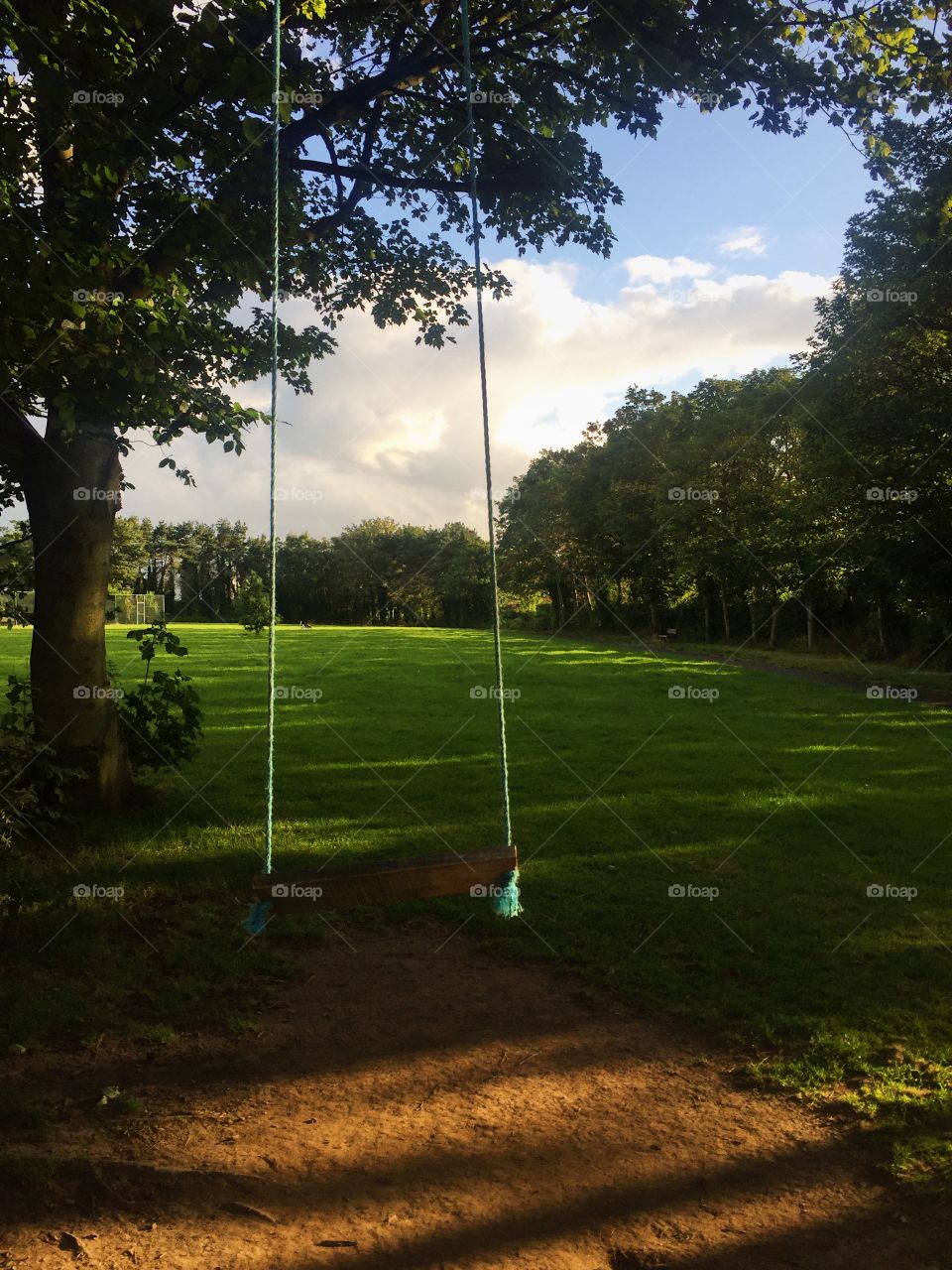 Tree, Grass, Golf, Landscape, Recreation