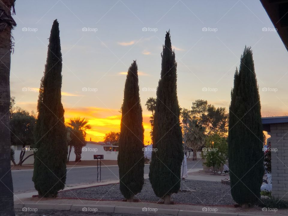 dusk is moving in.  the sky looks like it's on fire. love the color and beauty