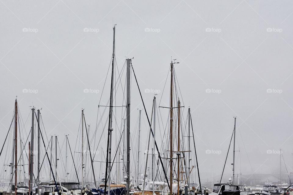 Masts and lines of sailboats in the marina