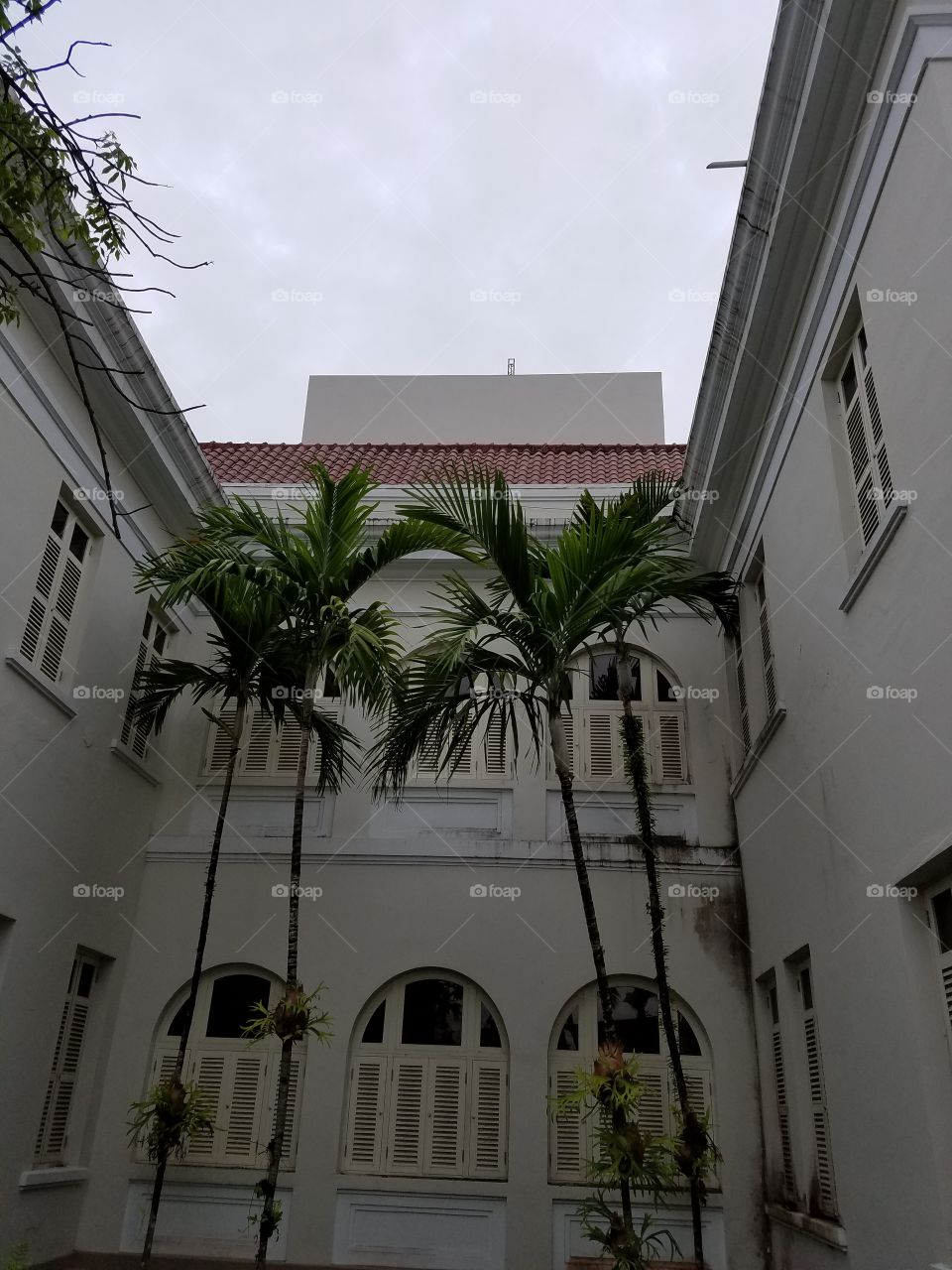 Museo de Puerto Rico