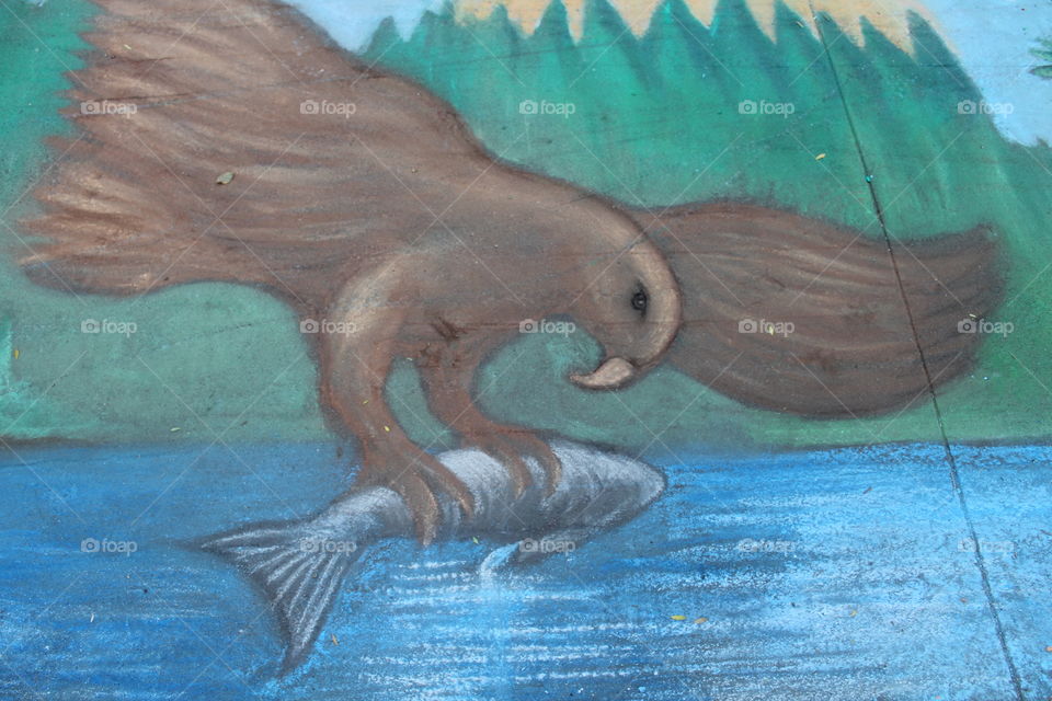 Swimming, Water, No Person, Underwater, Nature