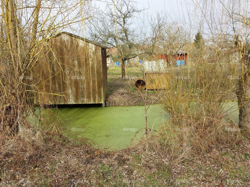 Cabane