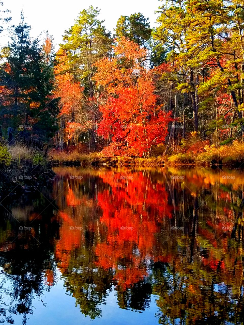 fall kayaking in the pine barrens of new jersey