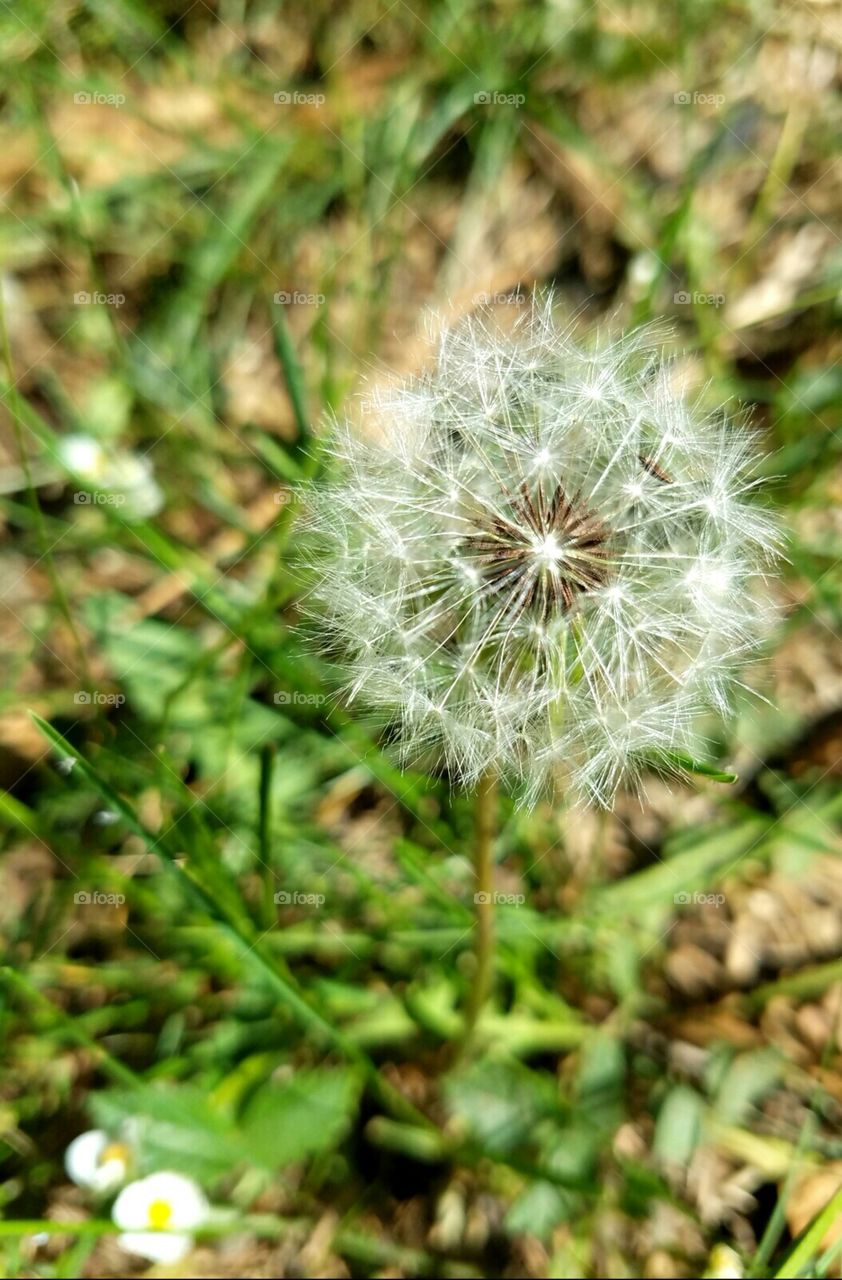 Delicate balance in Nature.